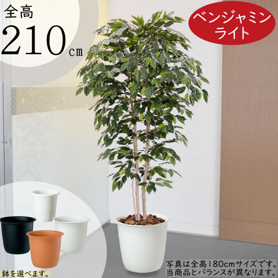 ベンジャミン 人気 おしゃれ フェイクグリーン 大型 観葉植物