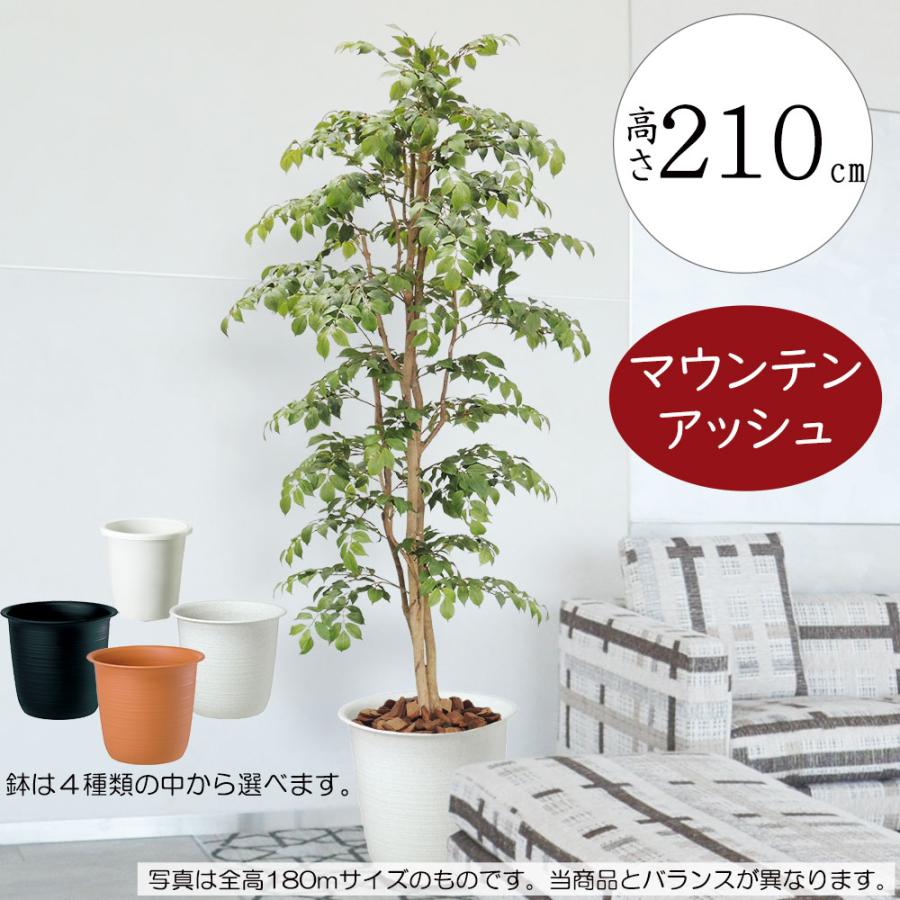 インテリアグリーン 大型 おしゃれ 人気 フェイクグリーン リアル 観葉