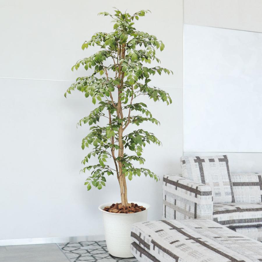 観葉植物 大型 イミテーショングリーン フェイクグリーン　造花 楽天市場】レビュー特典付き フェイクグリーン 大型 観葉植物