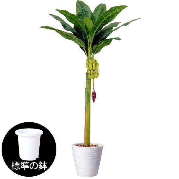 観葉植物 おしゃれ 人気 インテリアグリーン 大型 フェイクグリーン バナナの木 1.75m :bt-2004-l:インテリアグリーンと植木鉢