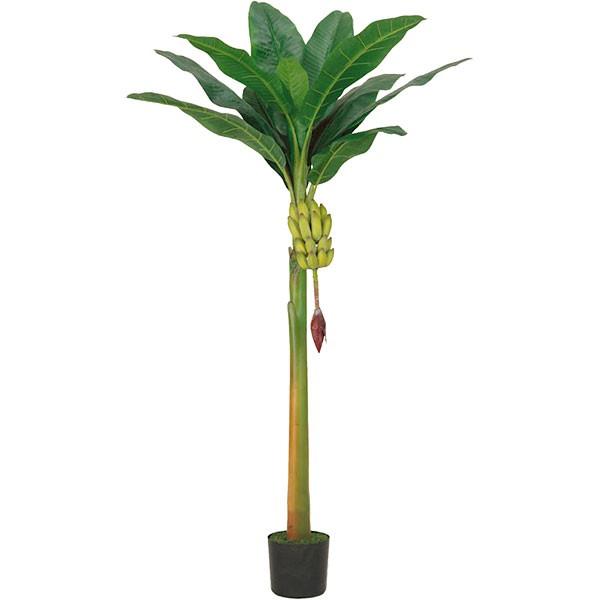 注目ブランド バナナの木 実付き 全高1 75m 人工観葉植物 人工樹木 造花 フェイクフード インテリアグリーン フェイクグリーン 新着商品 Nicmosul Org