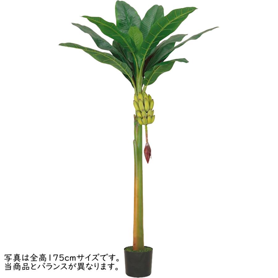 ⑧【処分価格】新品 バナナツリー4本 お買い得♪ フェイクグリーン