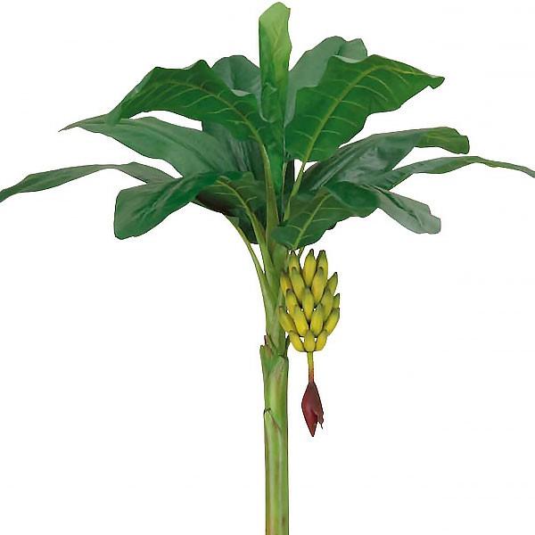 バナナの木 実付き 大型 全高2 45m 人工観葉植物 配送制限あり 人工樹木 造花 フェイクフード フェイクグリーン インテリアグリーン Bt 04 Ll 人工観葉植物と造花の通販ケイシン 通販 Yahoo ショッピング