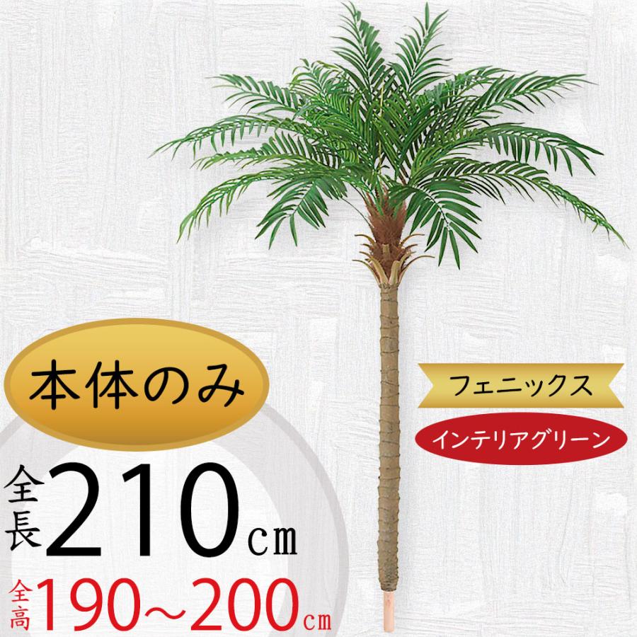 楽天市場 フェニックス 大型 人工観葉植物 全長2 1m ヤシ類 ロベヤシ ロベ 人工樹木 造花 インテリアグリーン フェイクグリーン リゾート 格安即決 Tprepara Cl