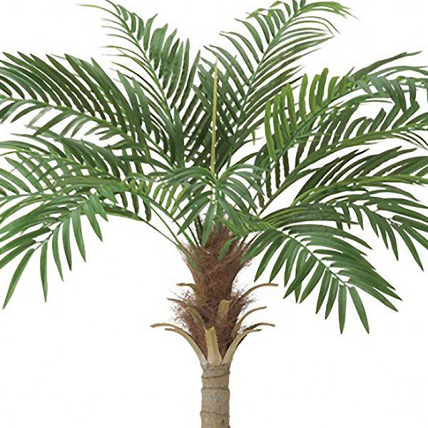 正規品 フェニックス 人工観葉植物 全長1 7m ヤシ類 ロベヤシ ロベ 人工樹木 造花 インテリアグリーン フェイクグリーン リゾート 最新人気 Www Fedelatina Org