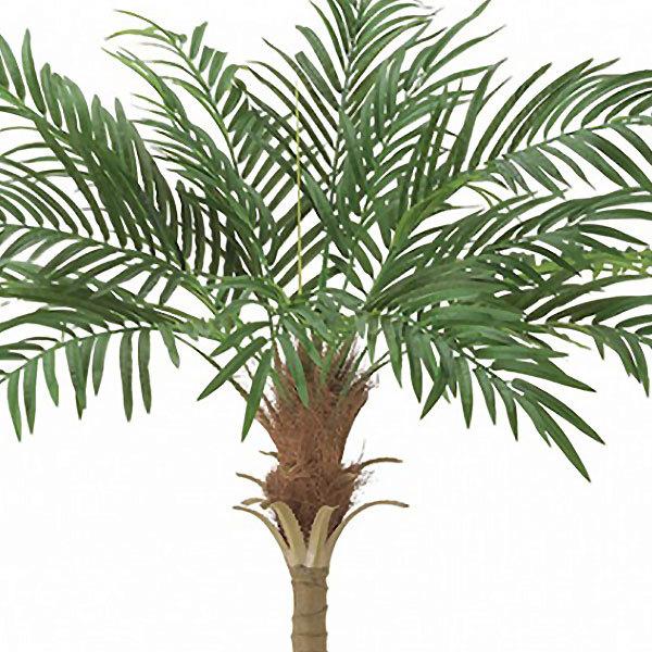 人気ブランド フェニックス 人工観葉植物 全長1 5m ヤシ類 ロベヤシ ロベ 人工樹木 造花 インテリアグリーン フェイクグリーン リゾート 新発売の Www Aproniaperu Com