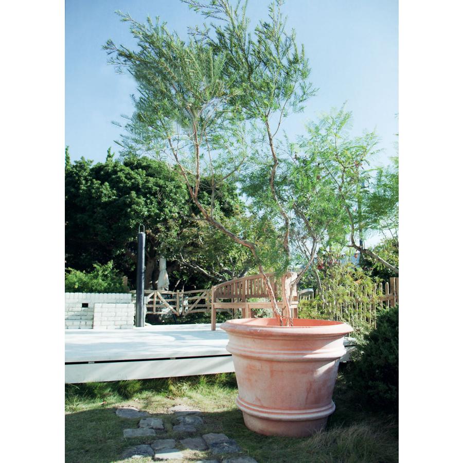 テラコッタ 植木鉢 おしゃれ 大型 プランター 観葉植物 人気 テラコッタ 植木鉢 おしゃれ 大型 プランター 観葉植物 人気