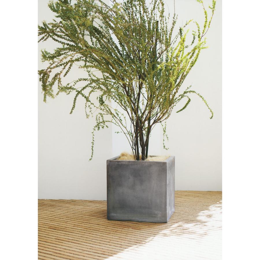 植木鉢 おしゃれ 大型 プランター 観葉植物 人気 おすすめ グレー 灰色
