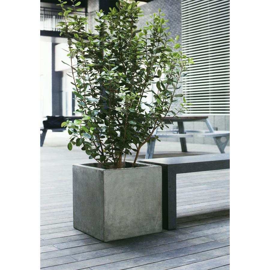 i＊特価セール！【 プランター 植木鉢 キューブ グレー ガーデニング 】 植木鉢 おしゃれ 大型 プランター 観葉植物 人気 おすすめ グレー 灰色