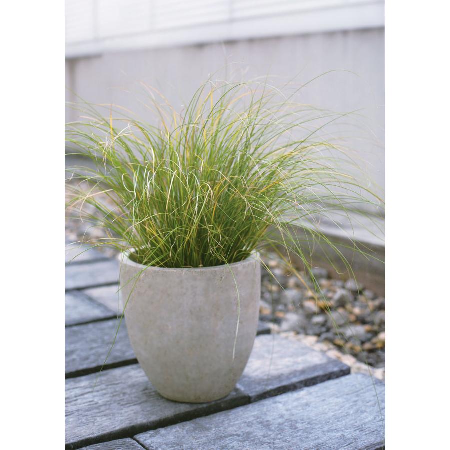 植木鉢 おしゃれ プランター 観葉植物 ポット 園芸 ガーデニング 人気