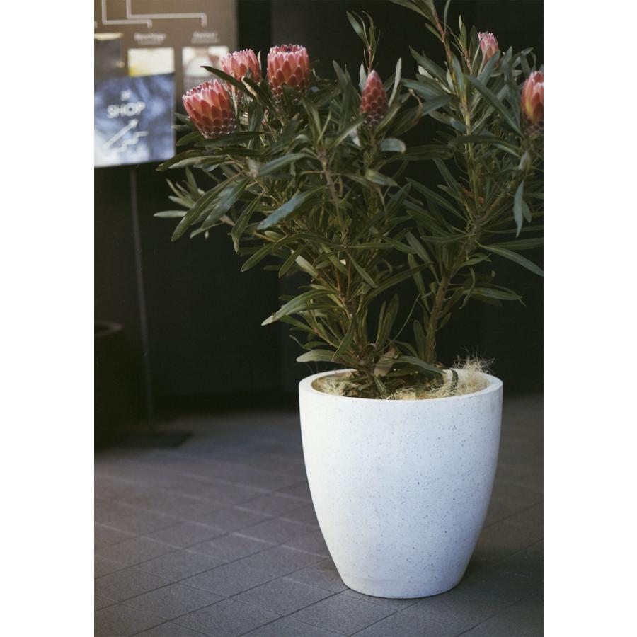 植木鉢 おしゃれ 大型 プランター 観葉植物 ポット 園芸 ガーデニング
