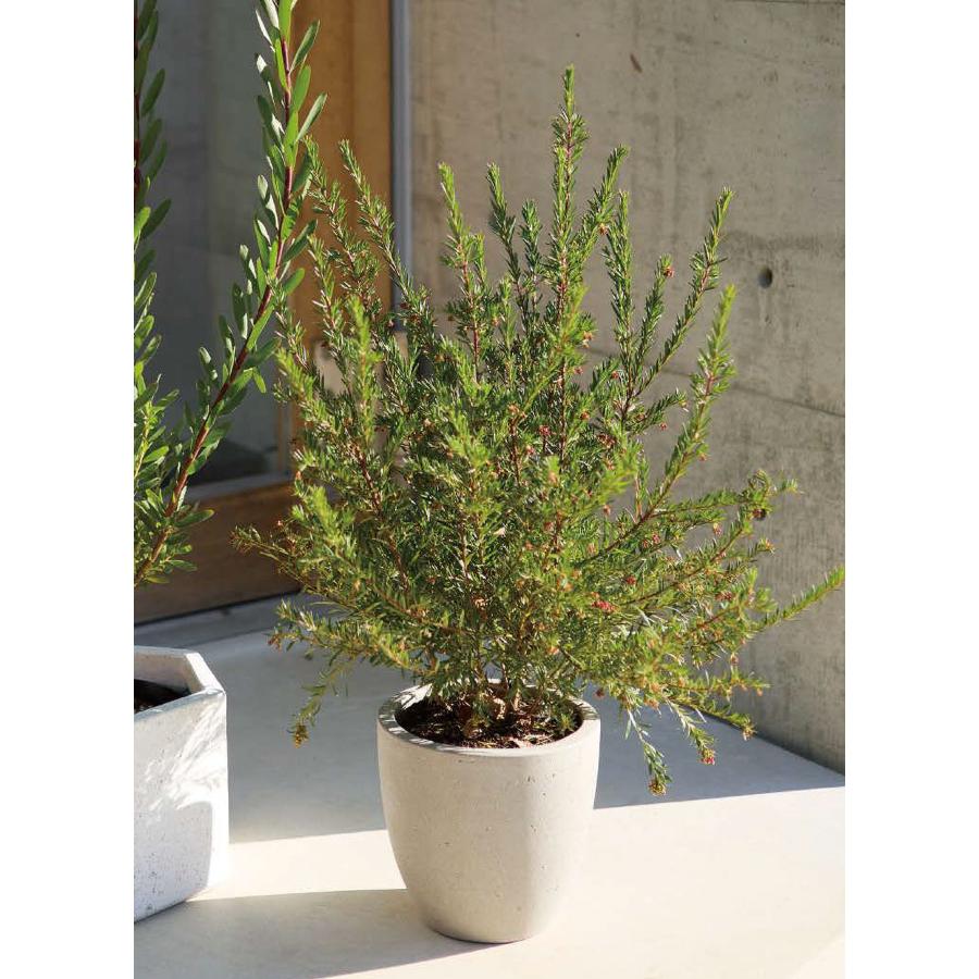 植木鉢 おしゃれ 大型 プランター 観葉植物 ポット 園芸 ガーデニング