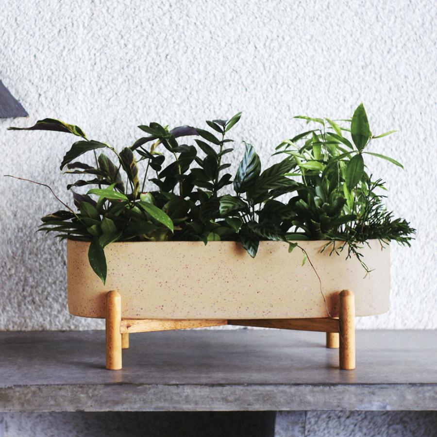 鉢カバー おしゃれ 大型 プランター 人気 おすすめ 観葉植物 浅鉢 浅型