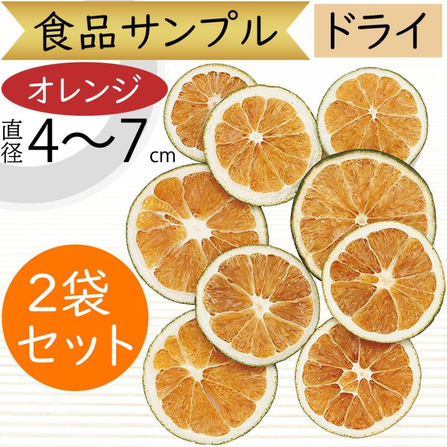 食品サンプル ドライフラワー オレンジ リアル フェイクフード 果物