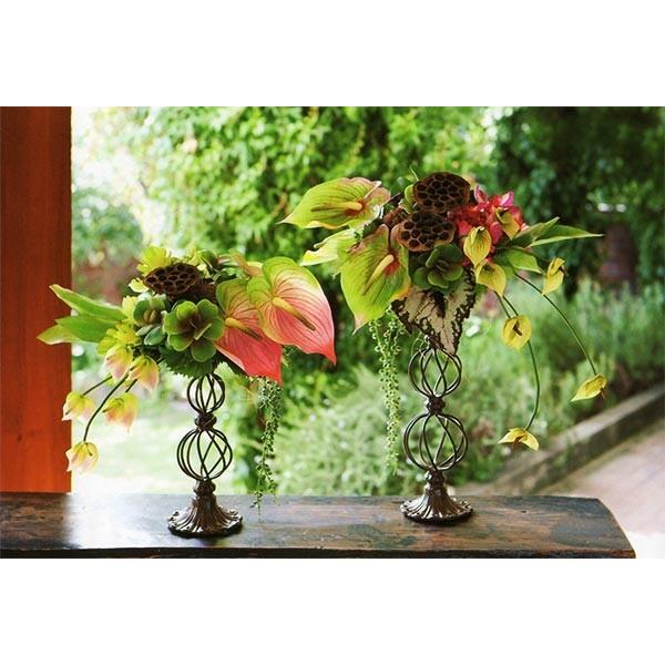 好評 ドライフラワー ハス ステム付き 全長60 70cm 2束セット 1束5本 2束 蓮の実 ロータス 天然素材 自然素材 花材 アレンジ Do 000 人工観葉植物と造花の通販ケイシン 通販 Yahoo ショッピング