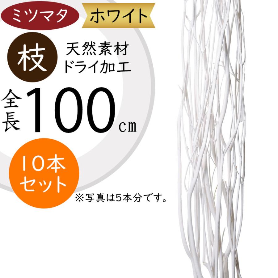 ミツマタ 三又 ドライフラワー ホワイト 白 おしゃれ 枝物 人気 三椏