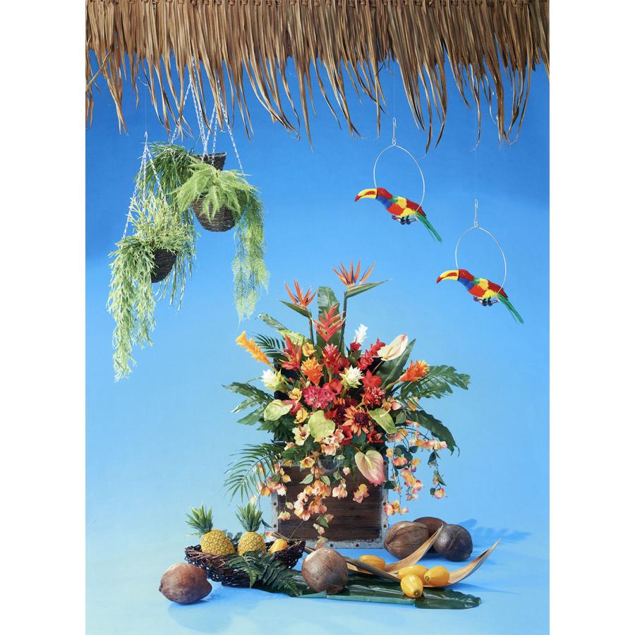 ヤシの実 人気 ココナッツ ヤシ類 ココヤシ 天然素材 自然素材 リアル  