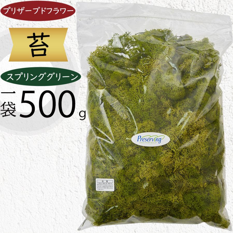プリザーブドフラワー 苔 モス おしゃれ 観葉植物 人気 アイランドモス