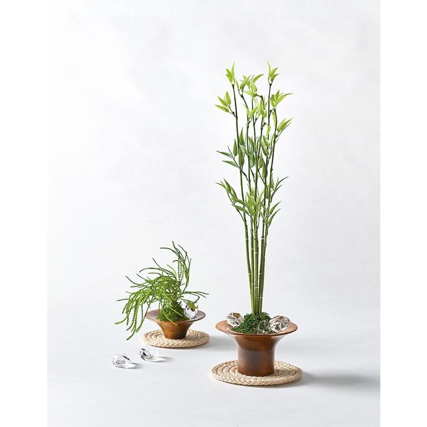 プリザーブドフラワー 苔 モス 山苔 山ゴケ おしゃれ 観葉植物 人気