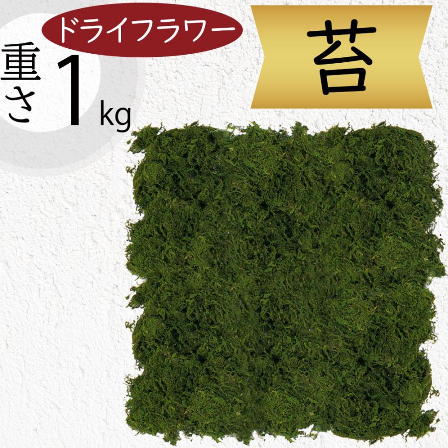 苔　ドライフラワー　インテリア　本物 苔と花 ＊ドライフラワー苔玉アレンジ＊ ドライフラワー 木村植物工作