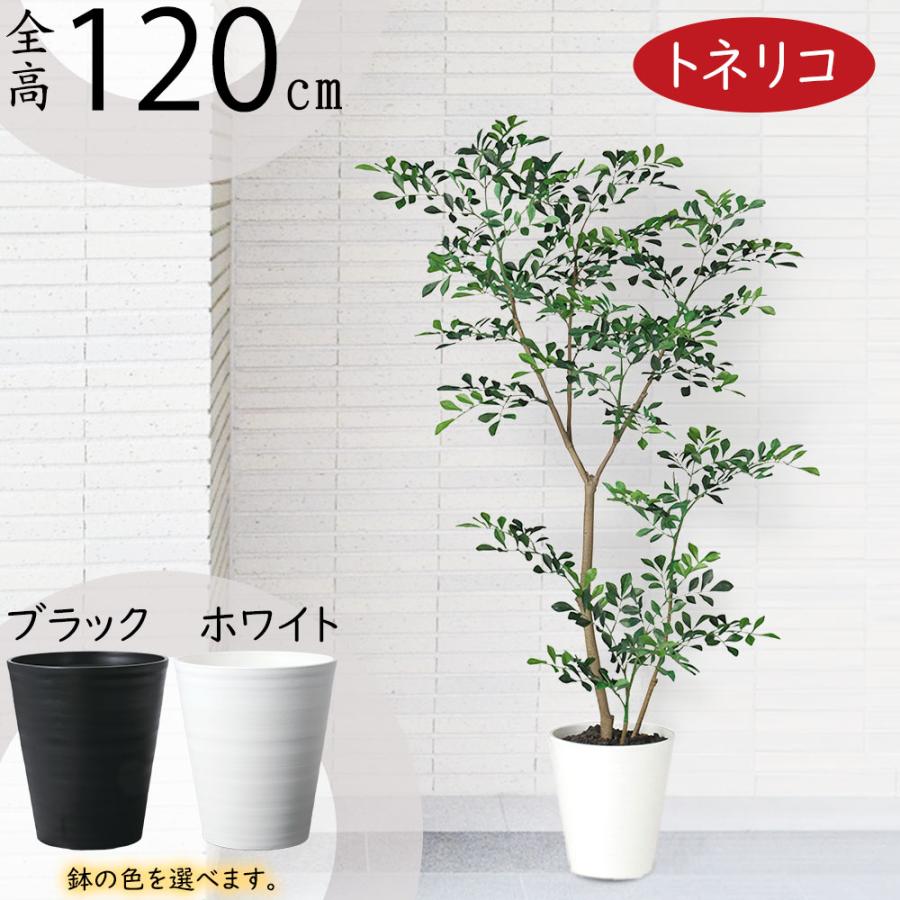 トネリコ フェイクグリーン 人気 人工観葉植物 おしゃれ リアル
