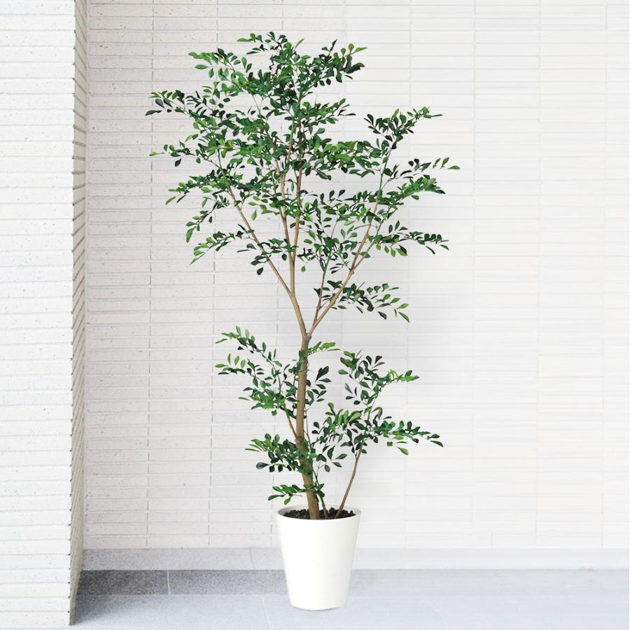 トネリコ フェイクグリーン 人気 人工観葉植物 おしゃれ リアル