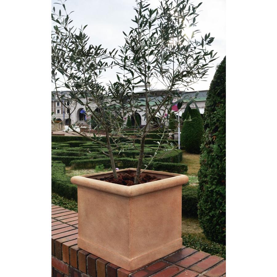 植木鉢 おしゃれ 大型 人気 おすすめ プランター 園芸鉢 観葉鉢 観葉