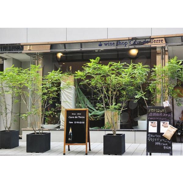 植木鉢 おしゃれ 大型 プランター 観葉植物 FRP キューブ 四角 ボックス 黒 ベージュ 軽量 寄せ植え 園芸 大きめ ブラックアイロンライト BLチェルトンハム 17号の画像
