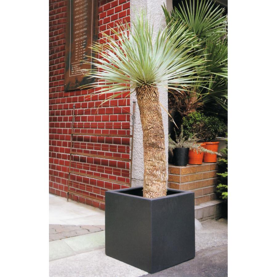 植木鉢 おしゃれ 大型 プランター 観葉植物 FRP キューブ 四角 ボックス 黒 ベージュ 軽量 寄せ植え 園芸 大きめ ブラックアイロンライト BLチェルトンハム 17号の画像