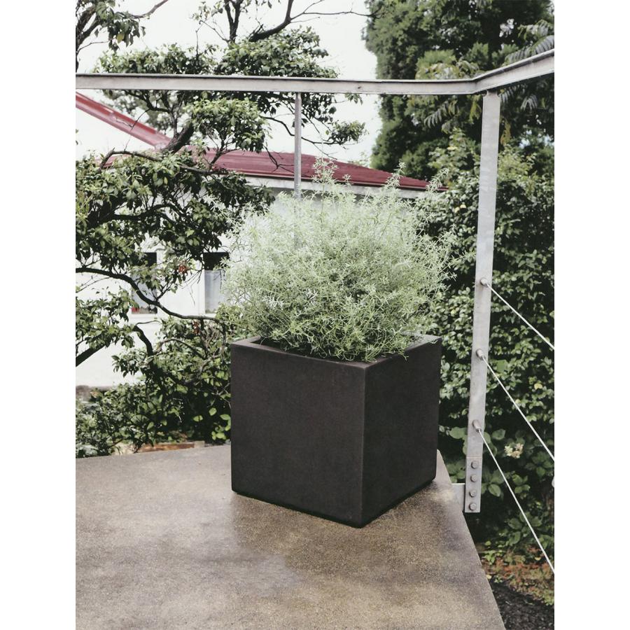 植木鉢 おしゃれ 大型 プランター 観葉植物 FRP キューブ 四角 ボックス 黒 ベージュ 軽量 寄せ植え 園芸 大きめ ブラックアイロンライト BLチェルトンハム 17号の画像