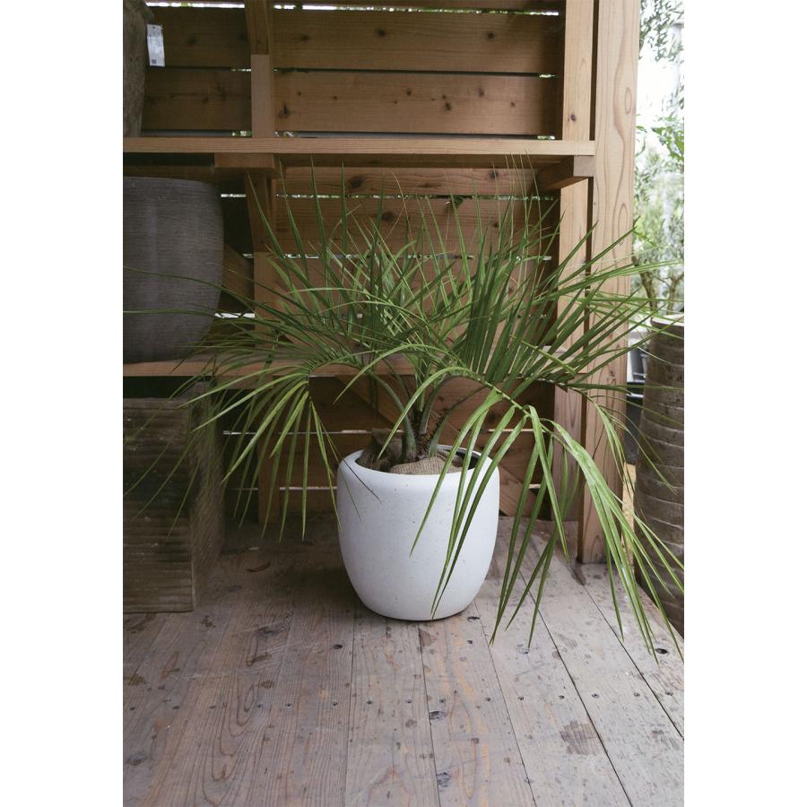 植木鉢 おしゃれ 大型 プランター 観葉植物 FRP カンサラ ホワイト 32型 植木鉢 底面：直径22cm