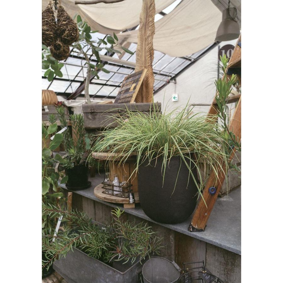 テラコッタ 植木鉢 おしゃれ 人気 おすすめ プランター 観葉植物 園芸