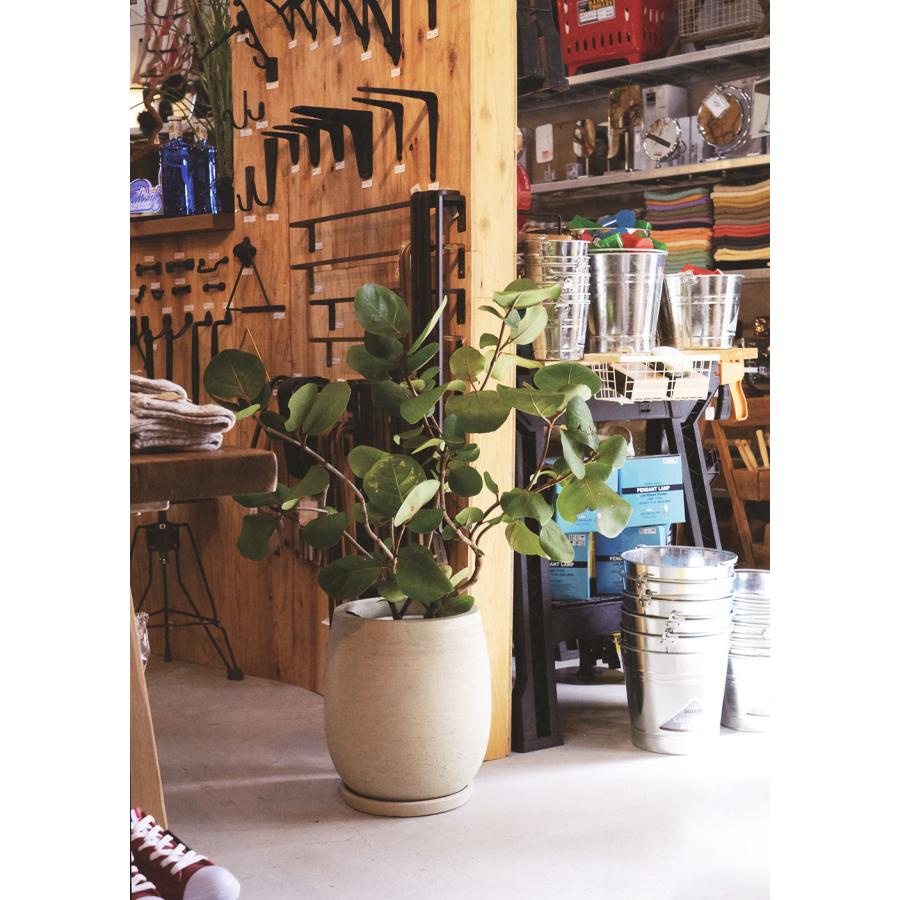 テラコッタ 植木鉢 おしゃれ 大型 人気 おすすめ プランター