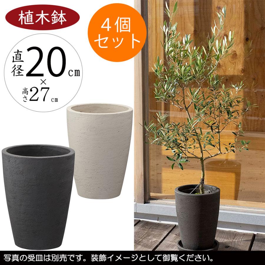 テラコッタ 植木鉢 おしゃれ 人気 おすすめ プランター 観葉植物 園芸