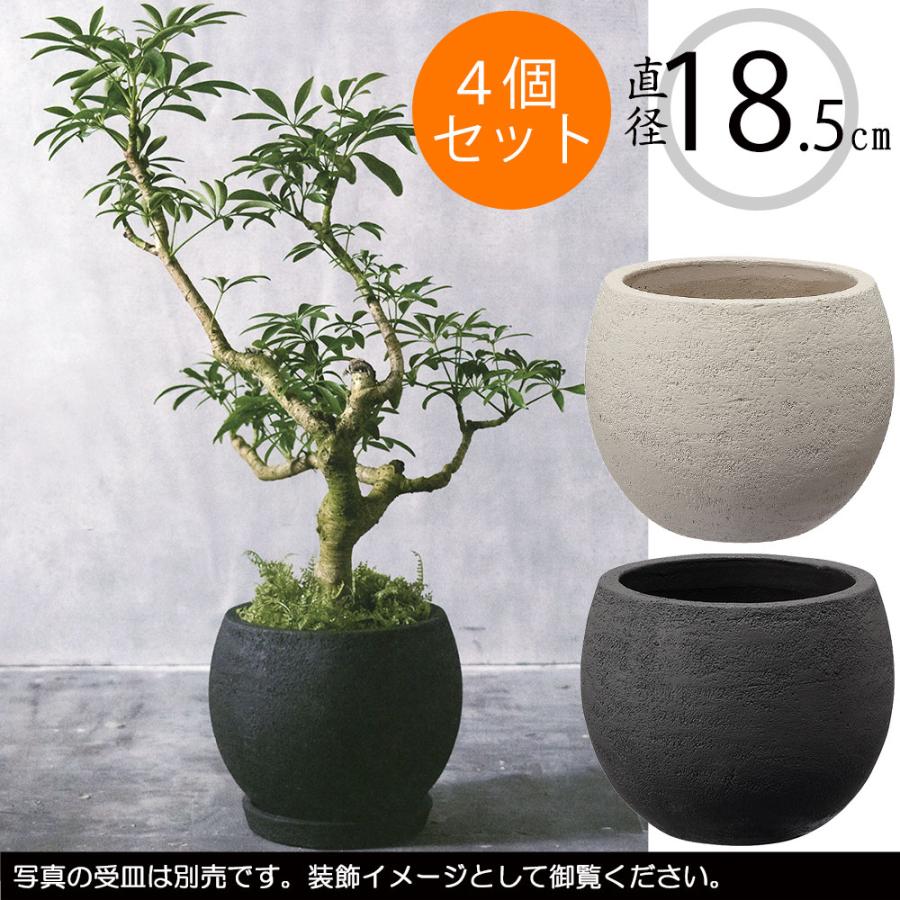 テラコッタ 植木鉢 おしゃれ 人気 おすすめ プランター 観葉植物 園芸 