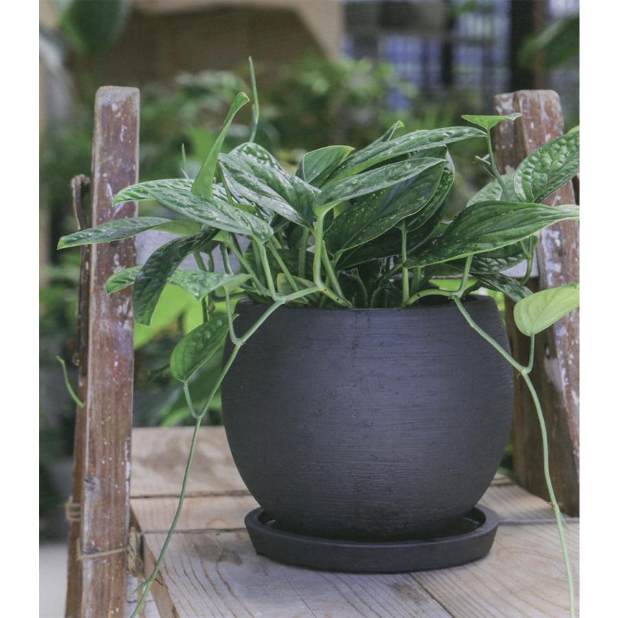 テラコッタ 植木鉢 おしゃれ 人気 おすすめ プランター 観葉植物 園芸