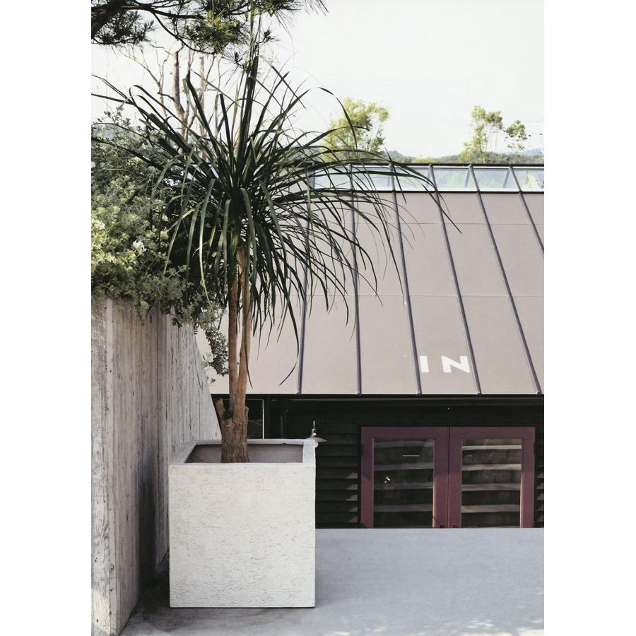 リガンデキューブ 50 植木鉢　プランター　軽量鉢 リガンデキューブ 50（植木鉢／プランター／軽量鉢）EB-PL872050