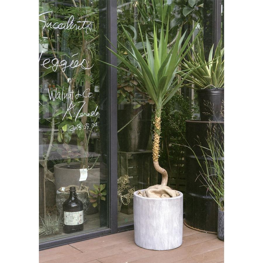 好評 植木鉢 テラコッタ レイニー シリンダー ライトグレー 35型 全高35cm 直径35cm 底穴あり 素焼き 陶器製 プランター ポット Eb Rc3535lg 人工観葉植物と造花の通販ケイシン 通販 Yahoo ショッピング