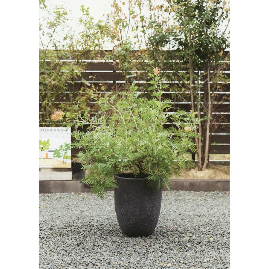植木鉢 おしゃれ 大型 プランター 人気 おすすめ 園芸鉢 観葉植物
