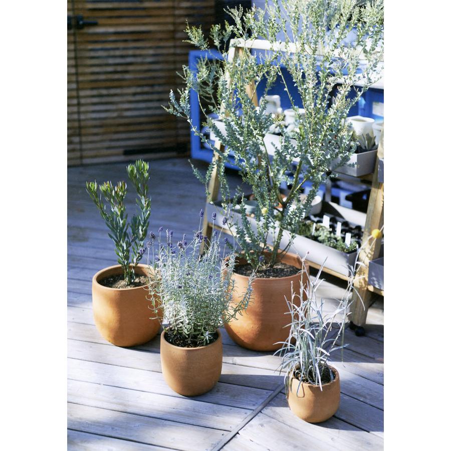 テラコッタ 植木鉢 おしゃれ プランター 人気 おすすめ 園芸鉢 素焼き