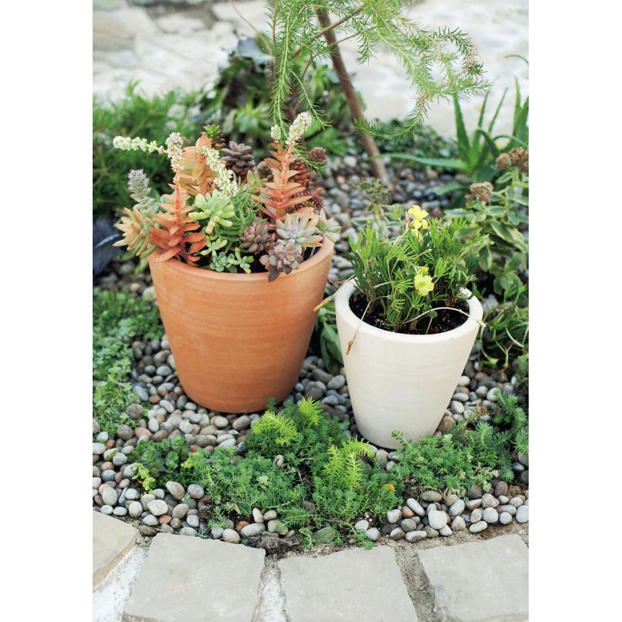 テラコッタ 植木鉢 おしゃれ プランター 人気 おすすめ 園芸鉢 素焼き