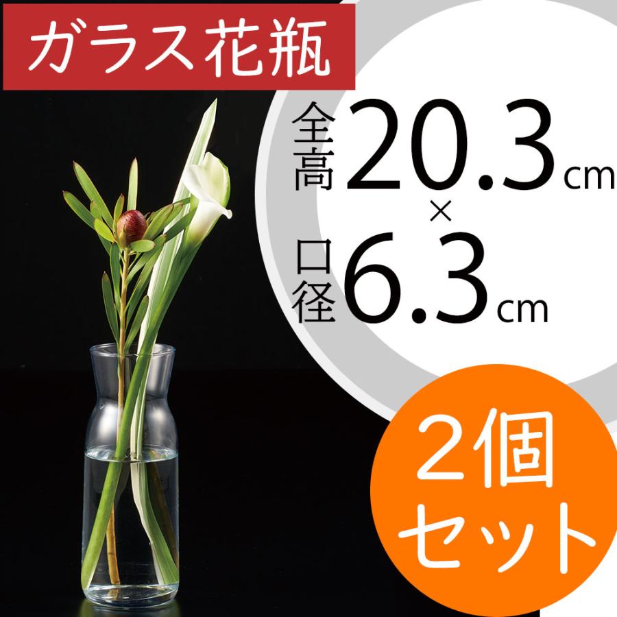 ガラス花瓶 おしゃれ フラワーベース 花器 インテリア モダン 一輪挿し