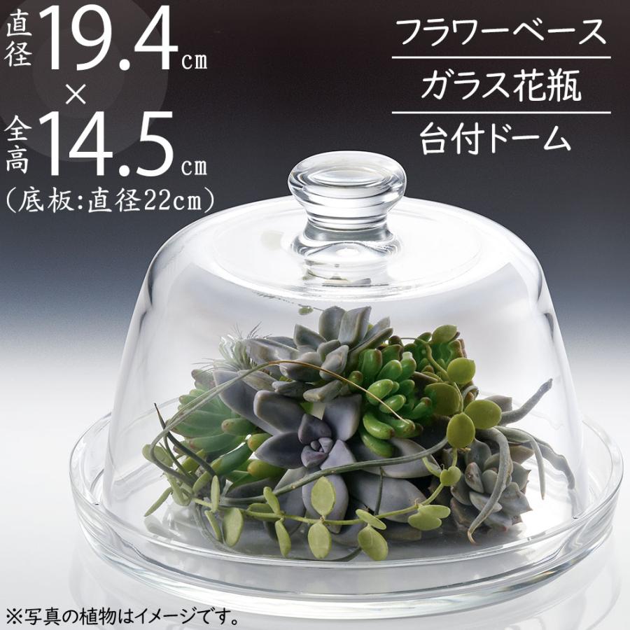 ドームガラス おしゃれ フラワーベース 人気 おすすめ ガラスドーム