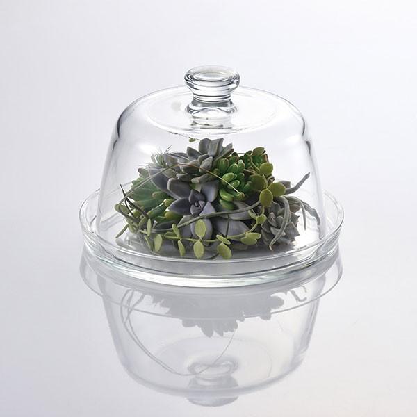 ドームガラス おしゃれ フラワーベース 人気 おすすめ ガラスドーム