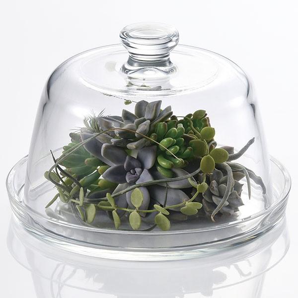 ドームガラス おしゃれ フラワーベース 人気 おすすめ ガラスドーム