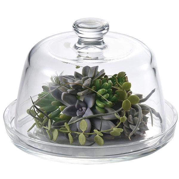 ドームガラス おしゃれ フラワーベース 人気 おすすめ ガラスドーム