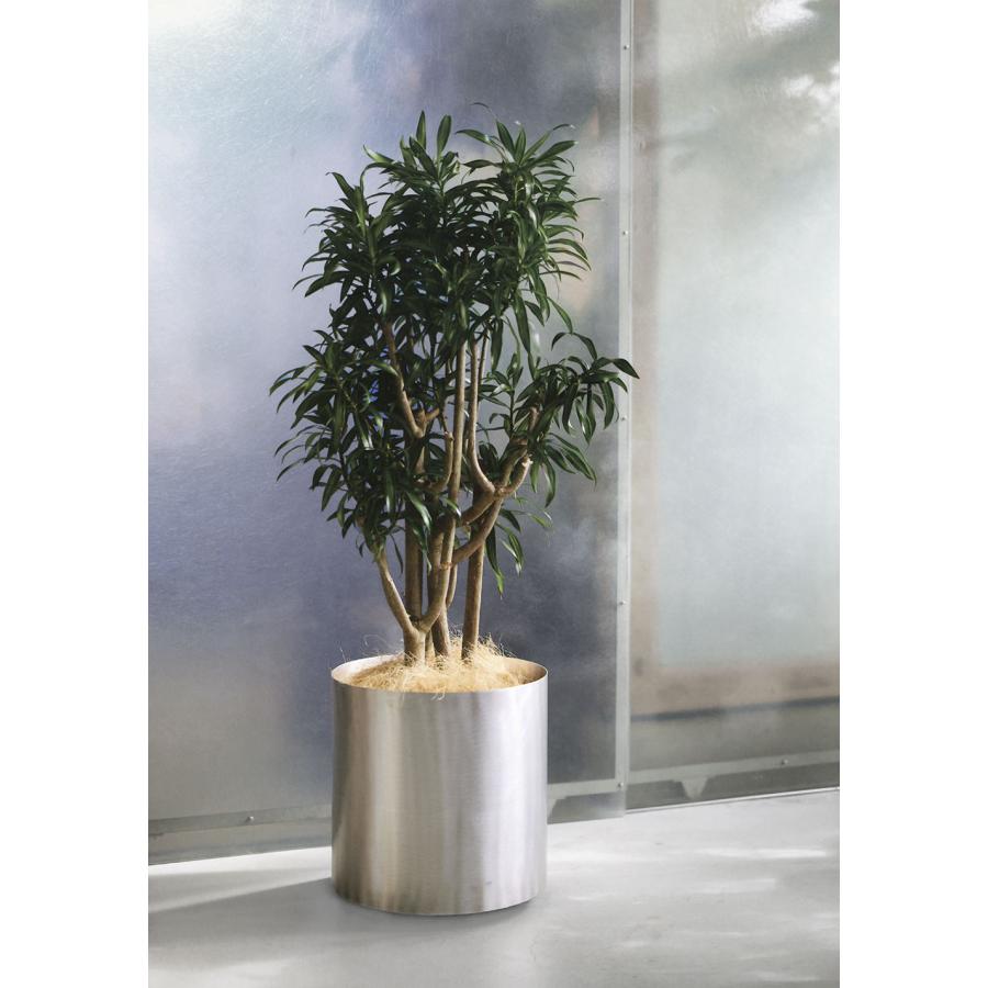 鉢カバー おしゃれ プランター 大型 人気 おすすめ 観葉植物 インドア