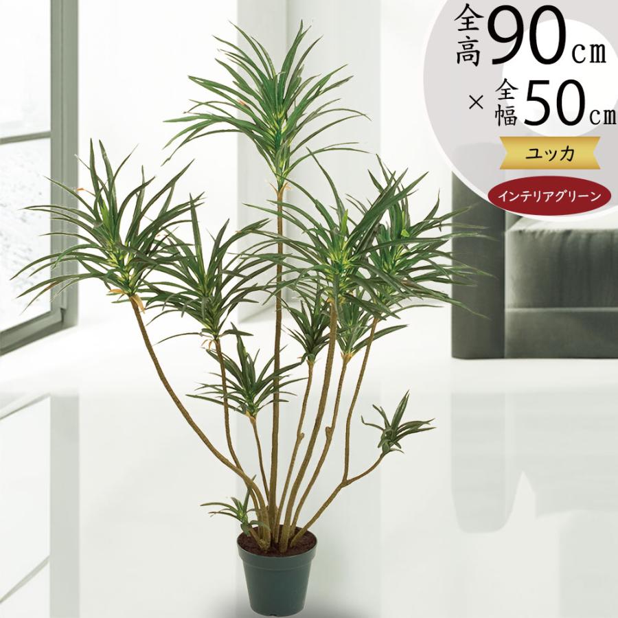 ドラセナ ユッカ 青年の木 インテリアグリーン おしゃれ 人気