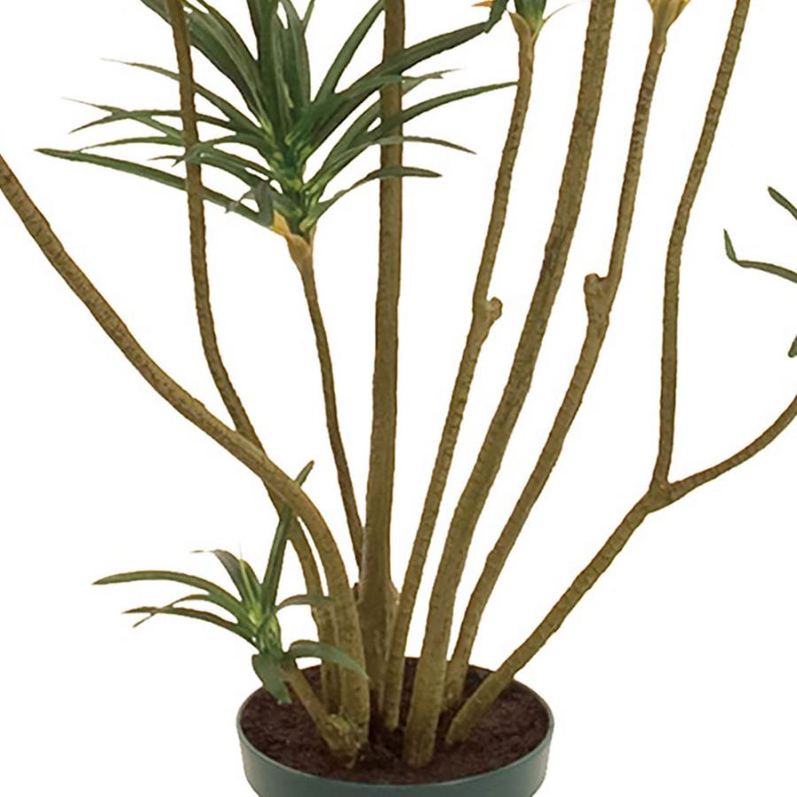 光触媒　人工観葉植物　ウォールグリーン　フェイクグリーン　ドラセナユッカ1666 光触媒 人工観葉植物 ウォールグリーン フェイクグリーン