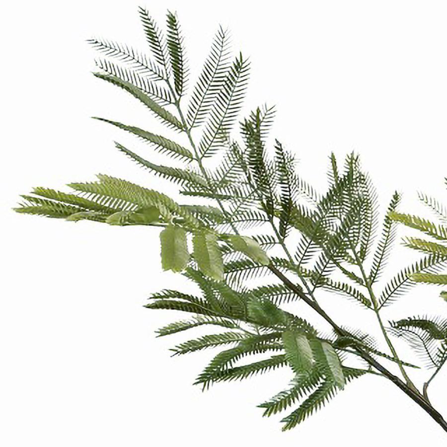 インテリアグリーン おしゃれ 人気 リアル おすすめ 観葉植物 インテリアグリーン おしゃれ 人気 リアル おすすめ 観葉植物